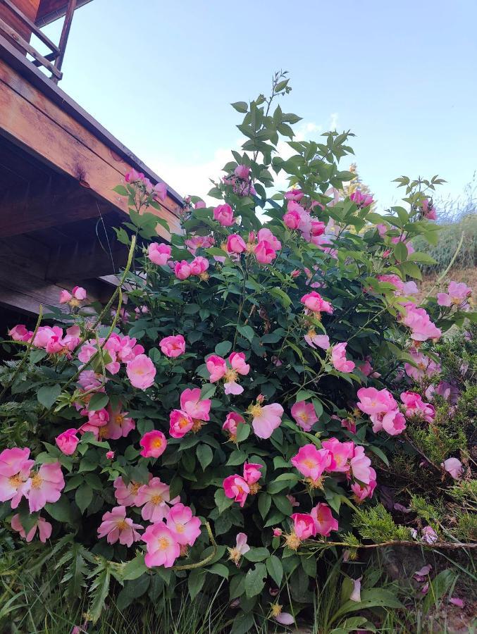 Chalet Ailleurs Appartement A Molines En Queyras エクステリア 写真